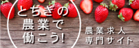 とちぎの農業で働こう！農業求人専門サイト